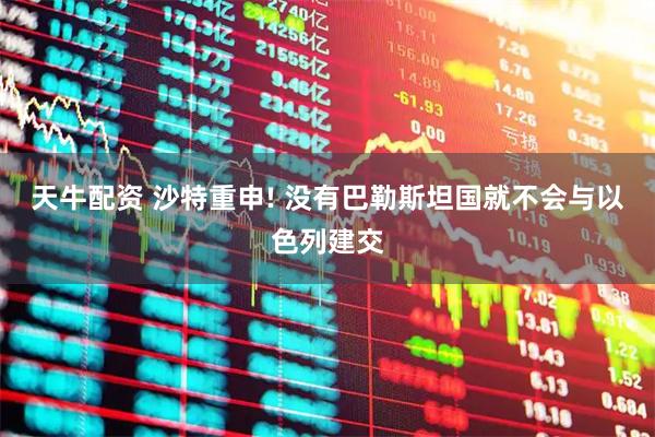 天牛配资 沙特重申! 没有巴勒斯坦国就不会与以色列建交