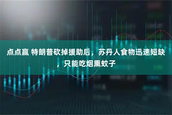 点点赢 特朗普砍掉援助后，苏丹人食物迅速短缺，只能吃烟熏蚊子